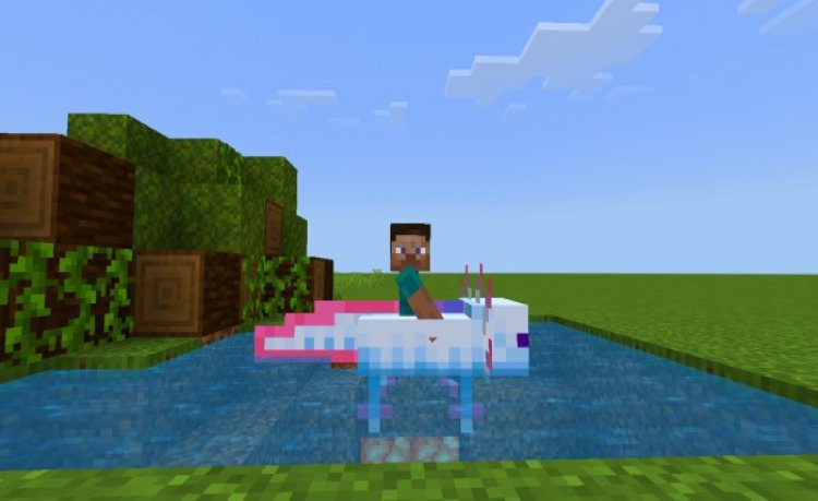 MCPE/Bedrock Axoloti Boats - Replace Boats with Axoloaders