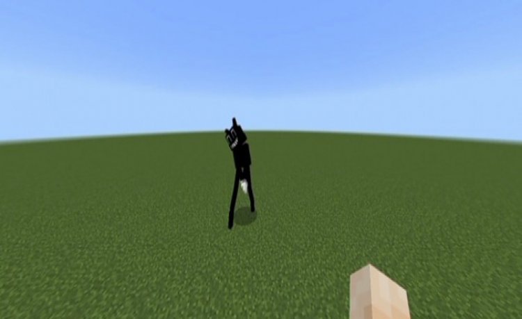 MCPE/Bedrock Cartoon Cat Addon