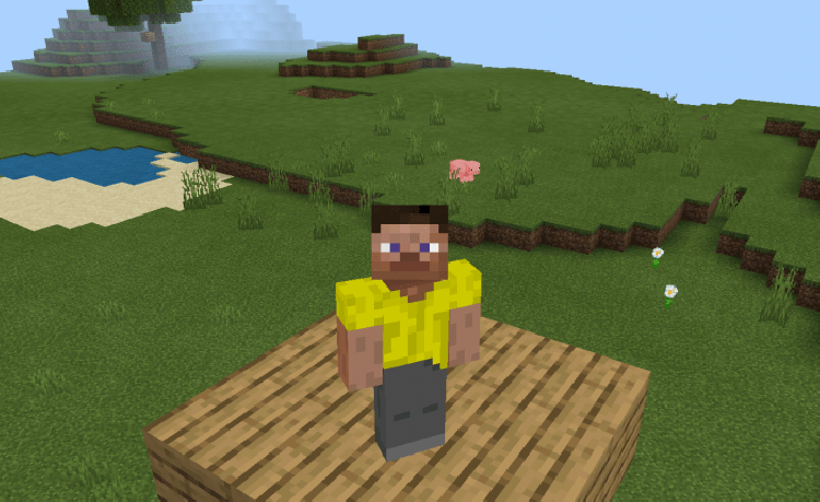 MCPE/Bedrock Casual Skins v3