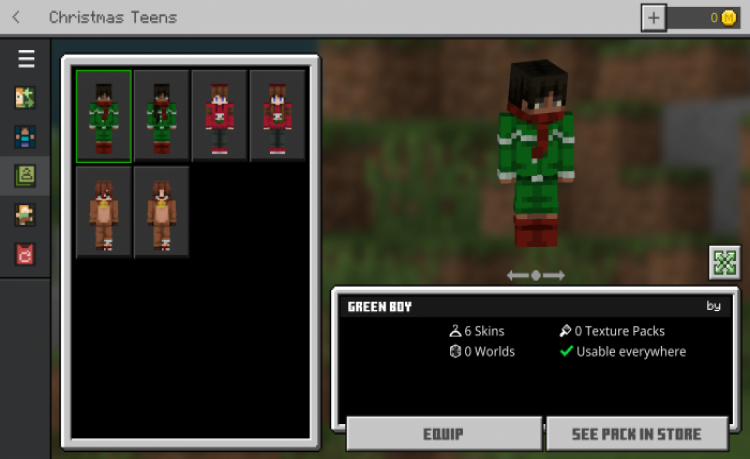 MCPE/Bedrock Christmas Teens