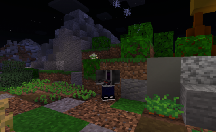 MCPE/Bedrock Invisible Skins