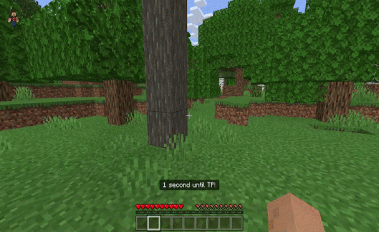 MCPE/Bedrock Random Mob TP