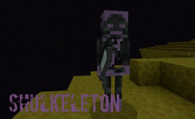 MCPE/Bedrock Skeleplus+