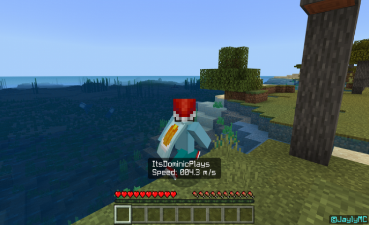MCPE/Bedrock Speedometer (Behavior Pack)