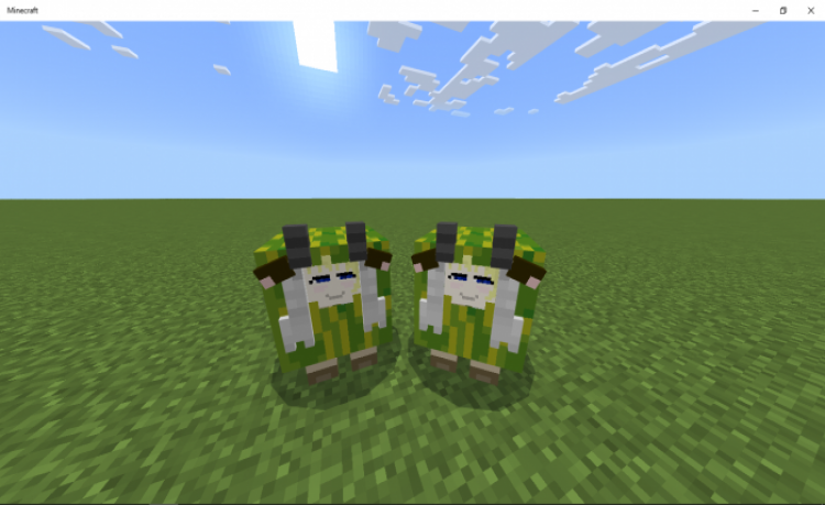 MCPE/Bedrock Watamelon Addon