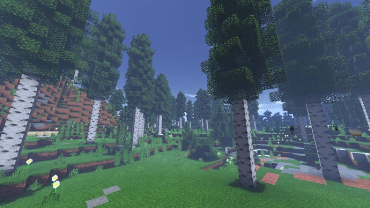Zero Shaders PE (Med/Low/Lite)