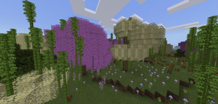 Biodiversity
