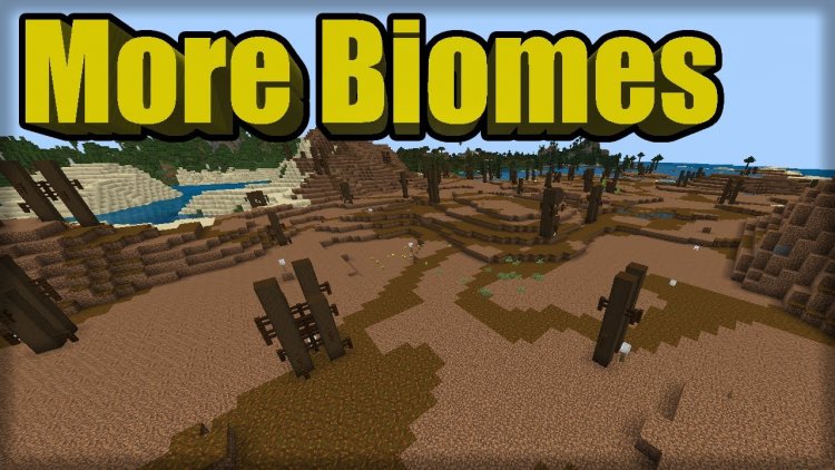 More Biomes