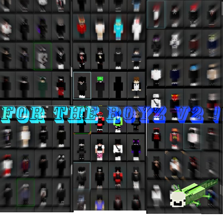FOR THE BOYZ SKIN PACK !