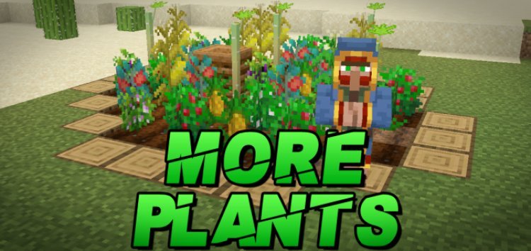More Plants